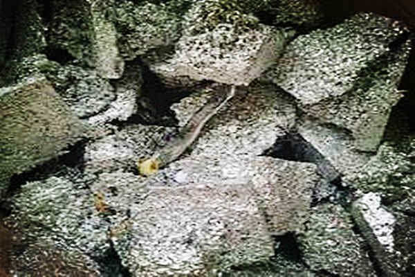 260201140405469.jpg